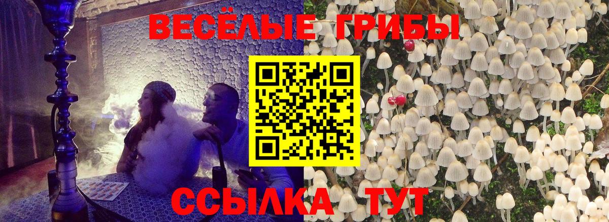 Карпинск  Галлюциногенные грибы Cubensis  где купить наркотик  Вход с VPN  Галлюциногенные грибы GOLDEN TEACHER 